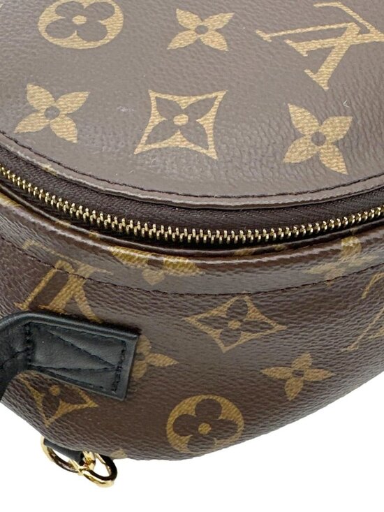 Louis Vuitton  Palm Spring Mini Monogram Canvas Backpack Brown main image 9
